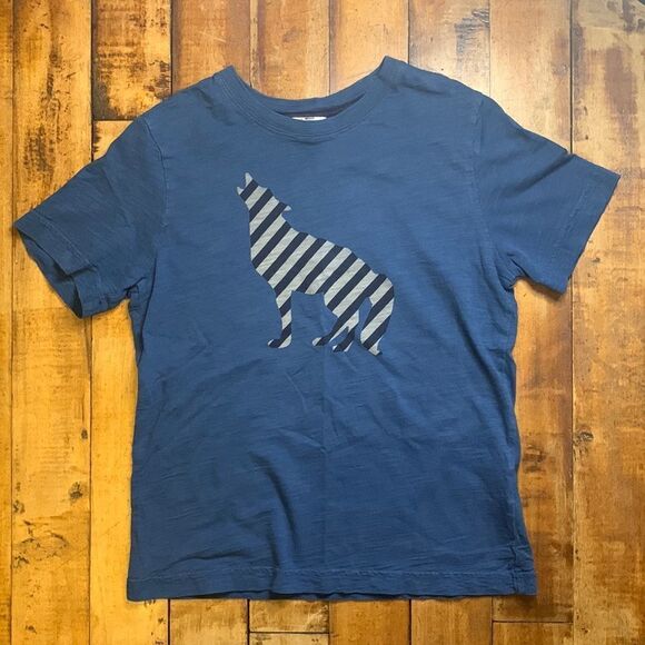 Hanna Andersson Other - Hanna Andersson shirt size 10 short sleeve shirt wolf blue 140 cotton spring